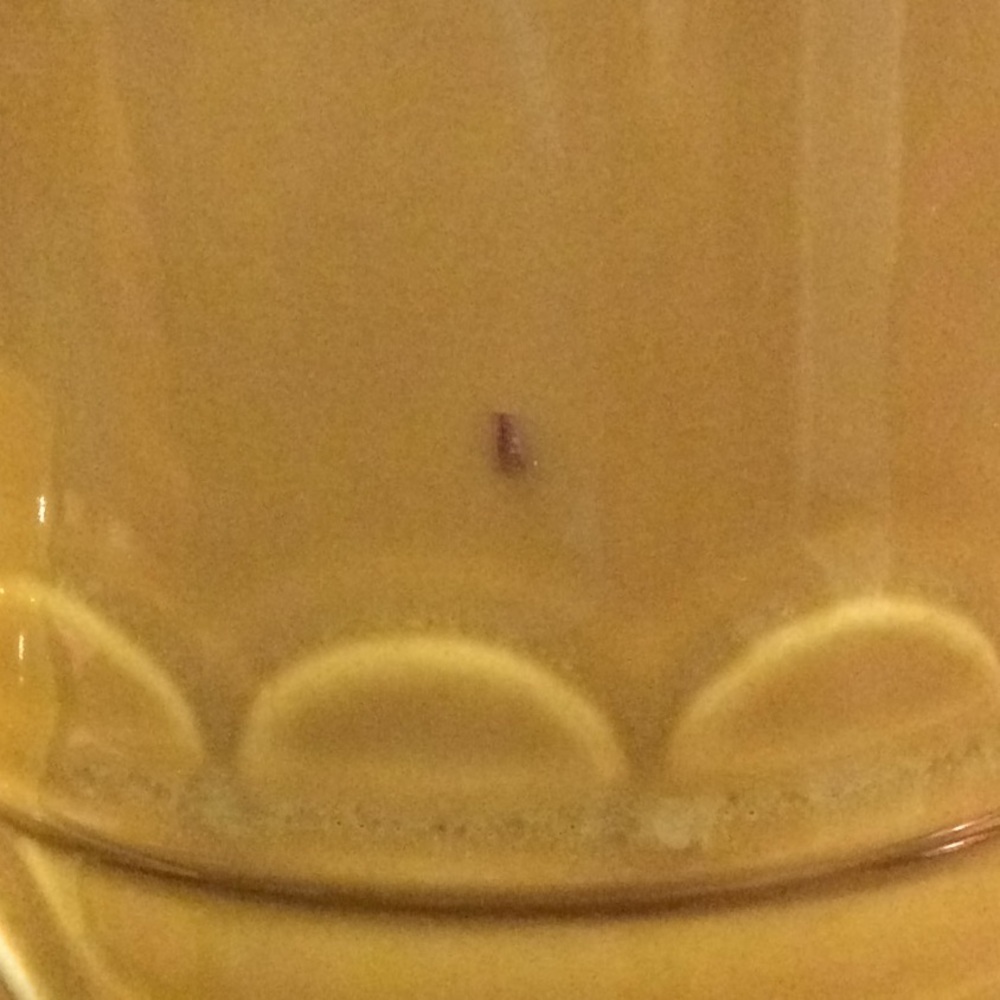 Pitcher - Picture 9 of 9